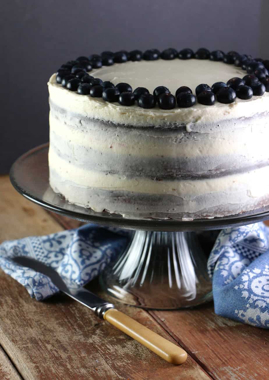 chocolate-blueberry-layer-cake_6